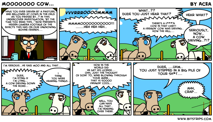Mooooooo Cow...