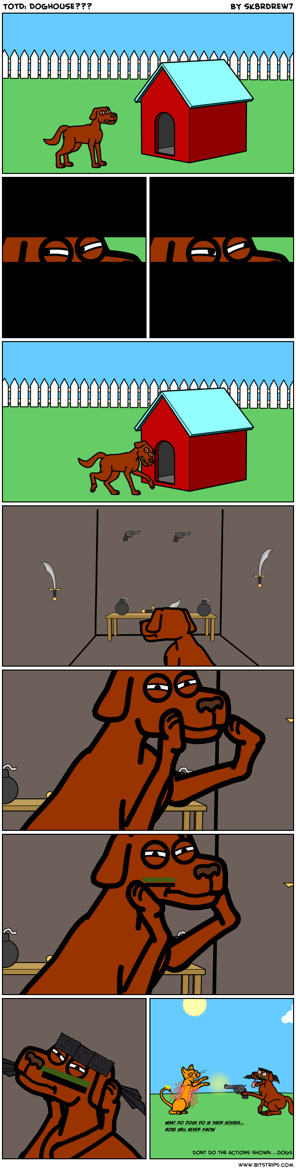 TotD: Doghouse???