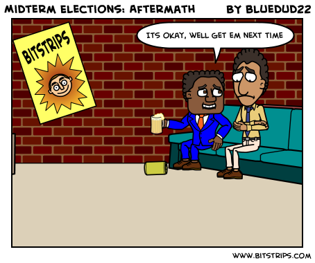 Midterm Elections: Aftermath