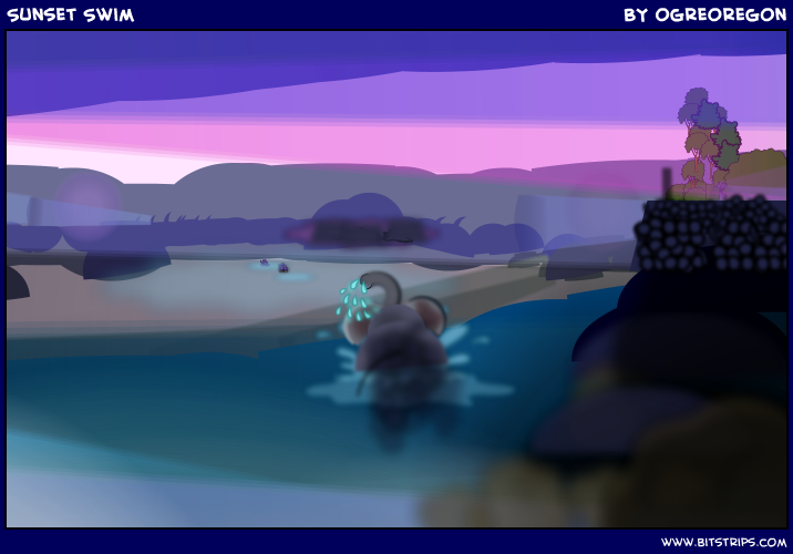 Sunset Swim