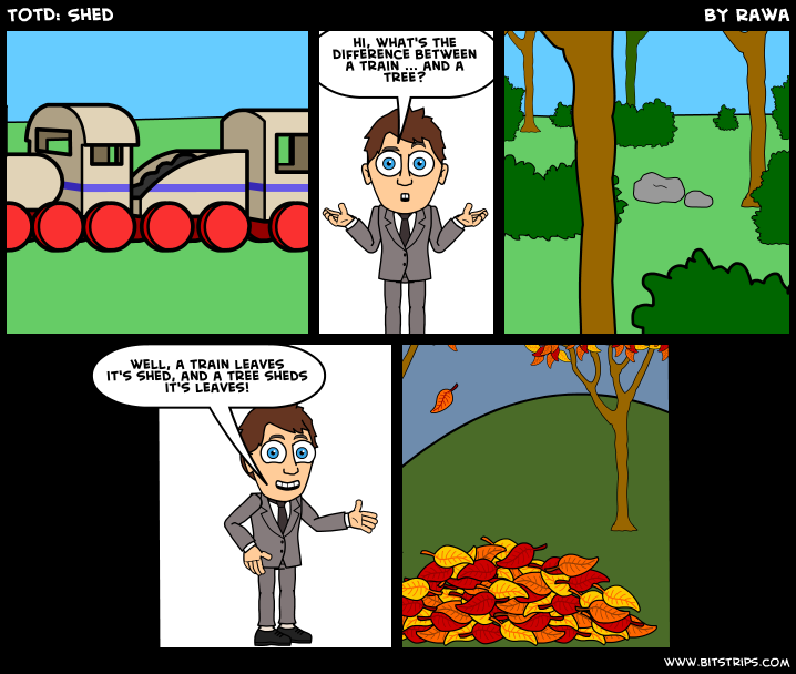 TotD: Shed