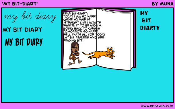 'My bit-diary'