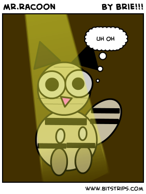 mr.racoon