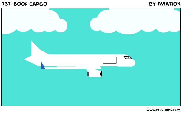 737-800f cargo