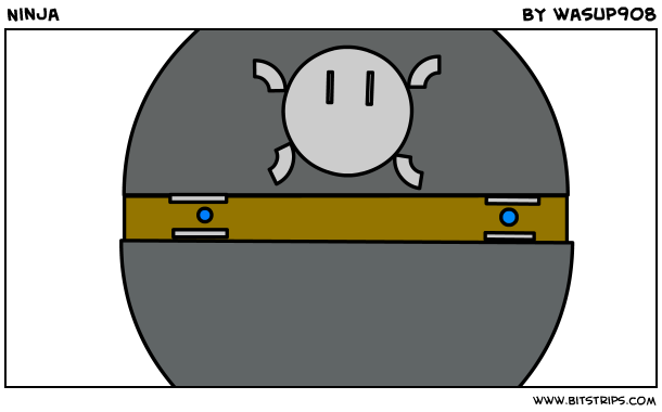 Ninja