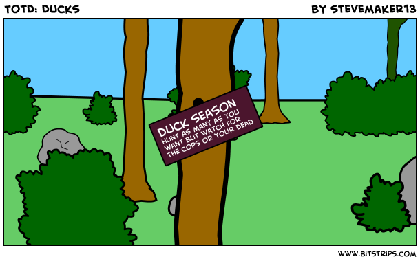 TotD: Ducks