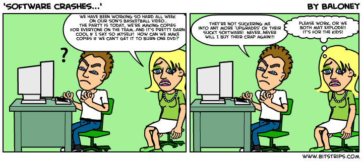 'Software crashes...'