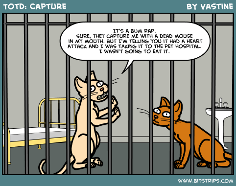 TotD: Capture