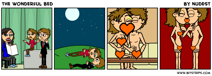 the wonderful bed