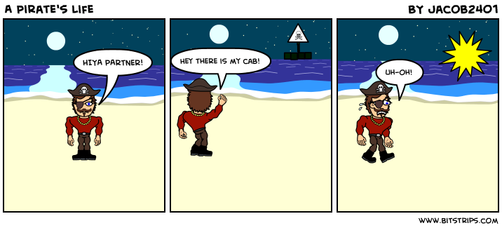 A Pirate's Life