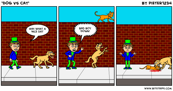 'DOG VS CAT'