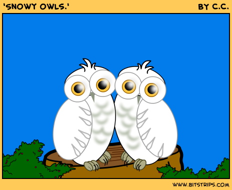 'Snowy owls.'