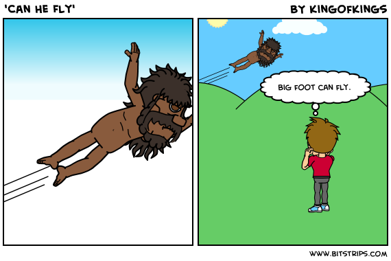 'Can He Fly'