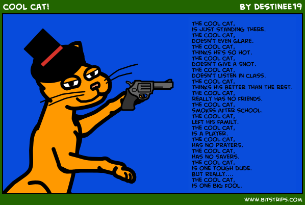 cool cat!