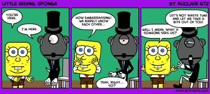 Little Riding Sponge