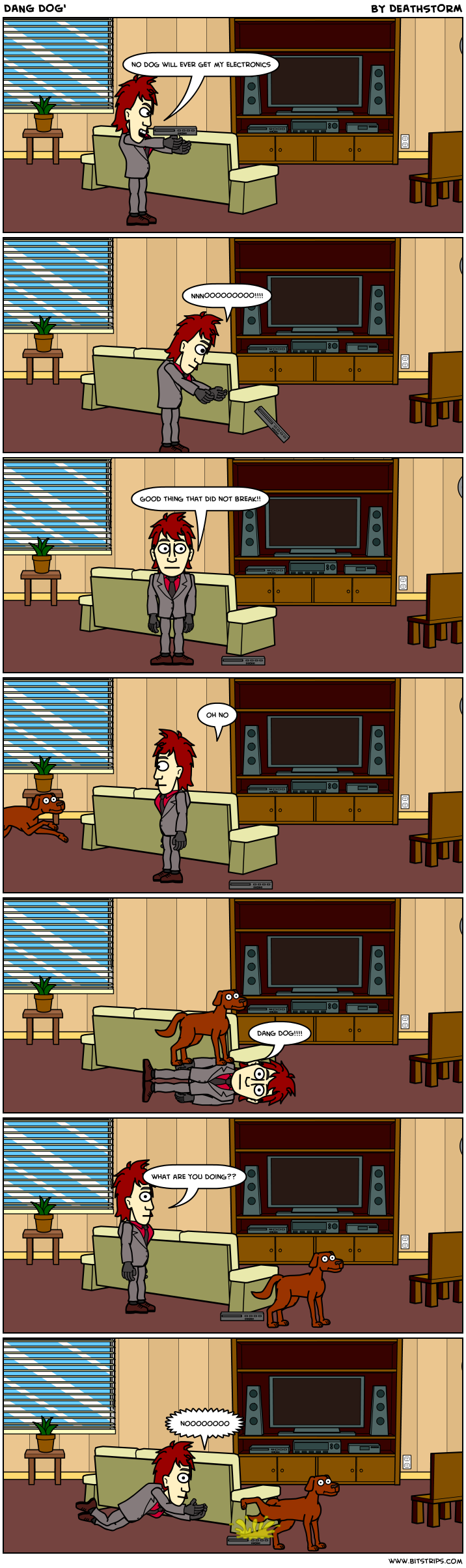 DANG DOG'