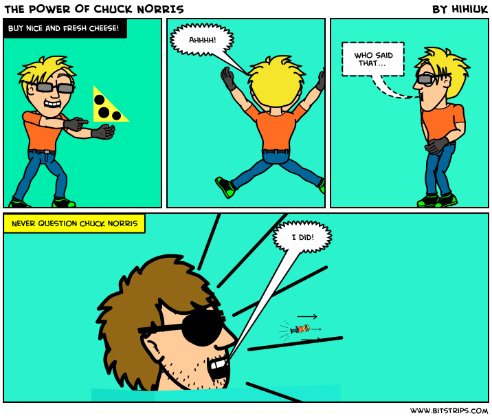 THE POWER OF CHUCK NORRIS
