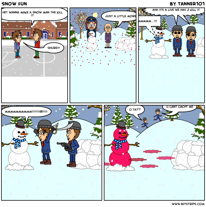 snow fun