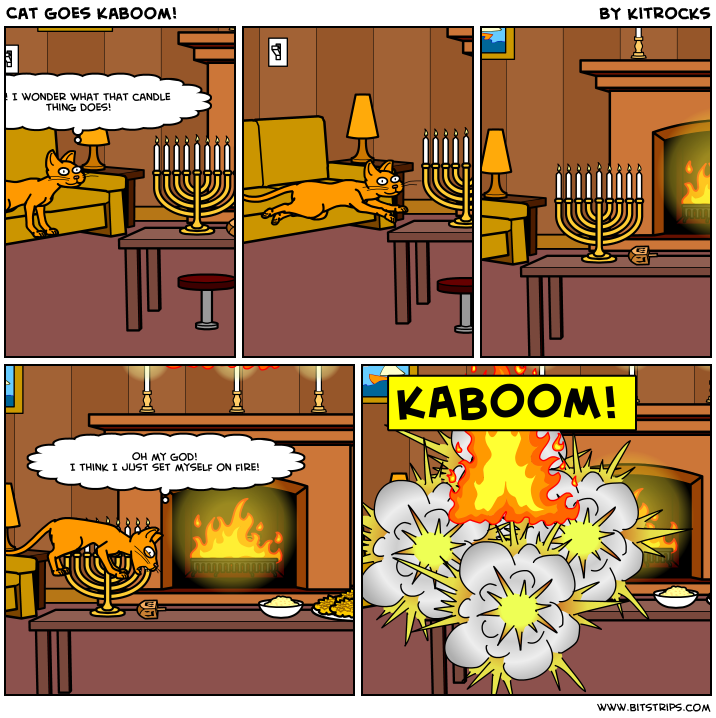 Cat goes Kaboom!