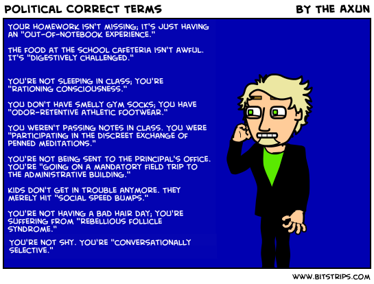 Political Correct Terms