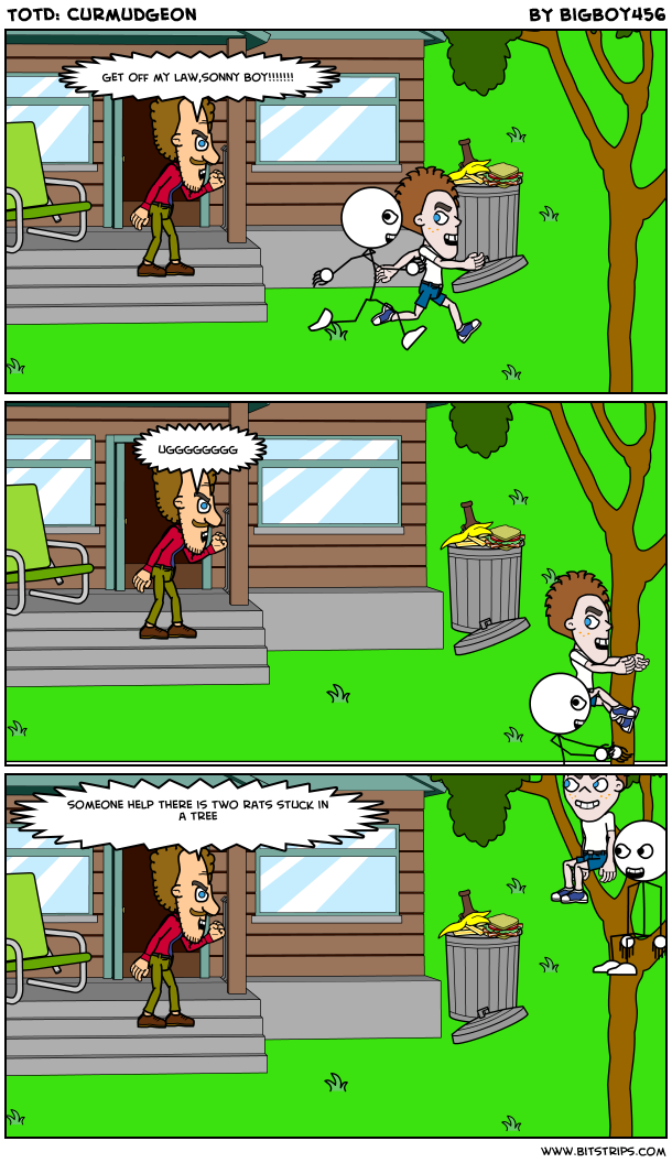 TotD: Curmudgeon