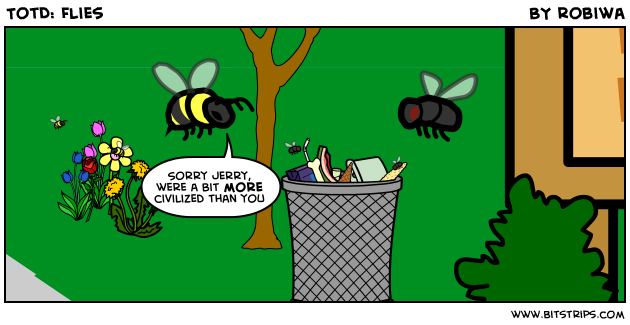 TotD: Flies
