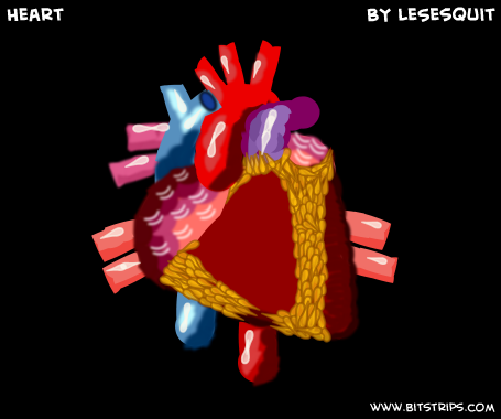Heart
