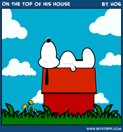 On the top of his house