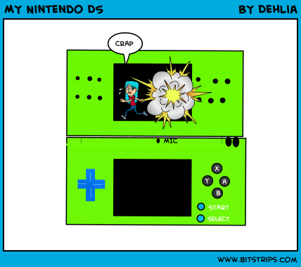 MY Nintendo DS