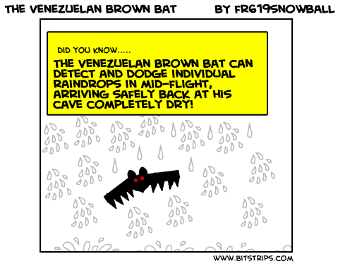 The Venezuelan brown bat