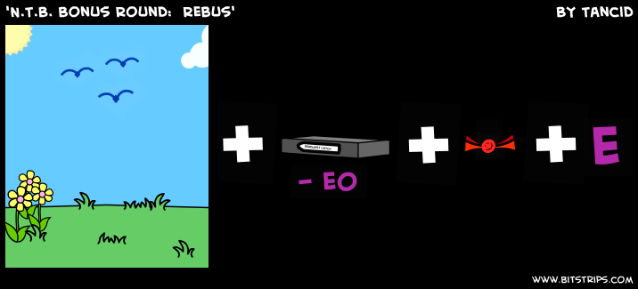 'N.T.B. Bonus Round:  Rebus'