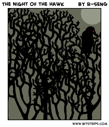 The night of the hawk
