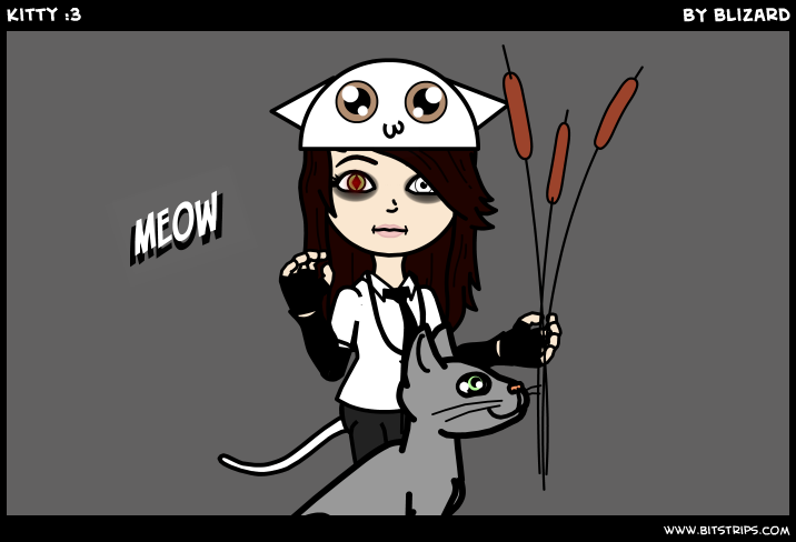 Kitty :3