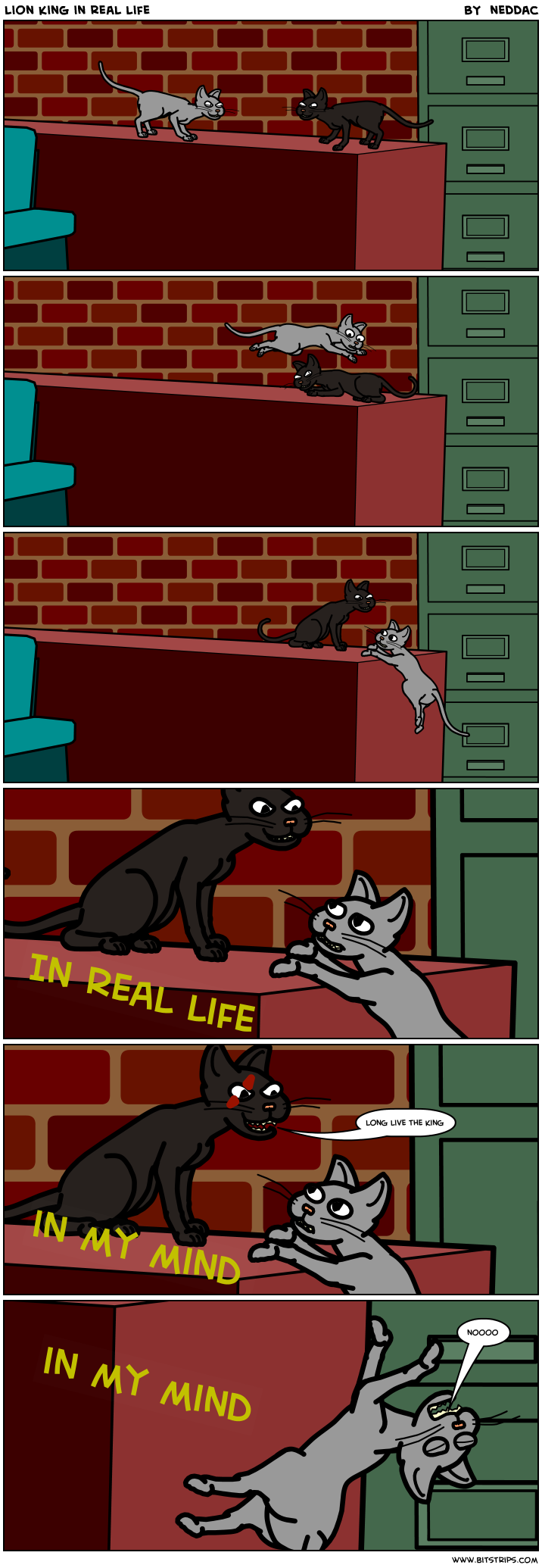 lion king in real life