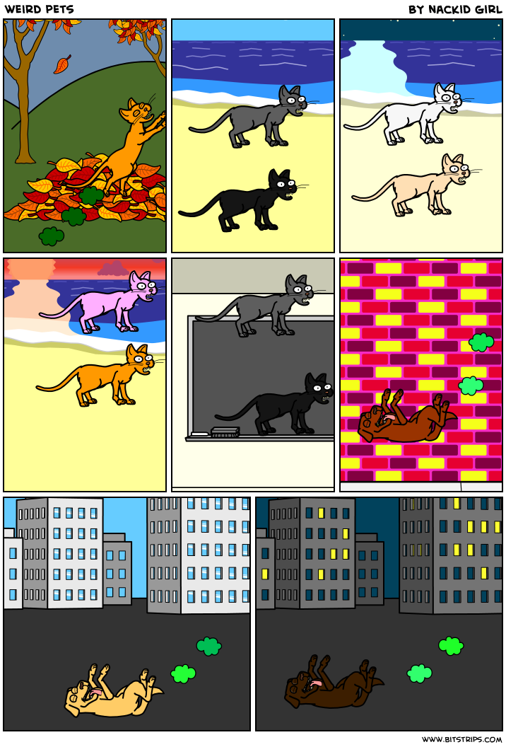 weird pets