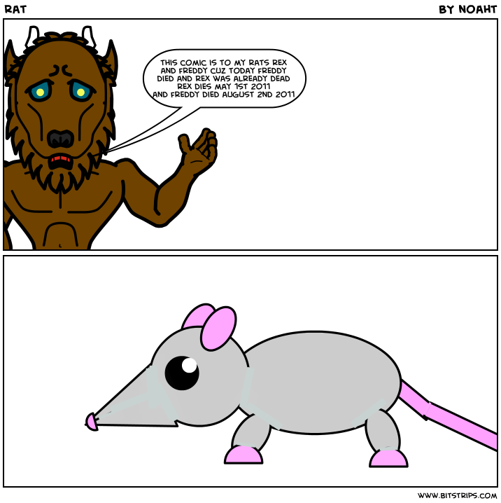 rat