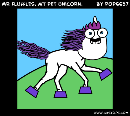 Mr Fluffles, my pet unicorn.