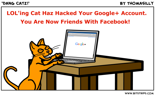 'Dang Catz!'