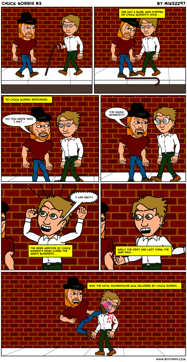Chuck Norris #3