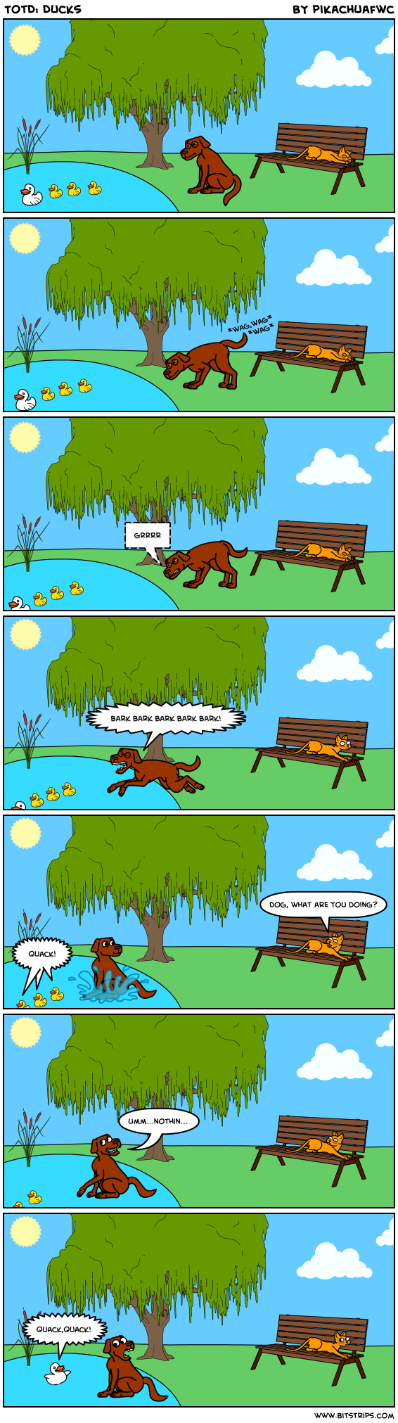 TotD: Ducks