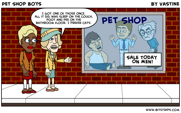 Pet Shop Boys