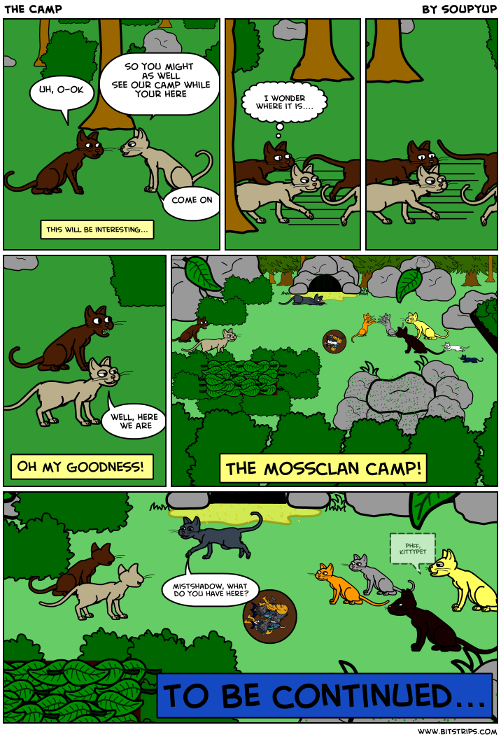 The Camp
