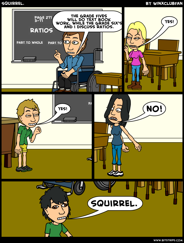 Squirrel. 
