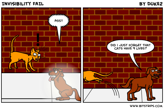 Invisibility FAIL