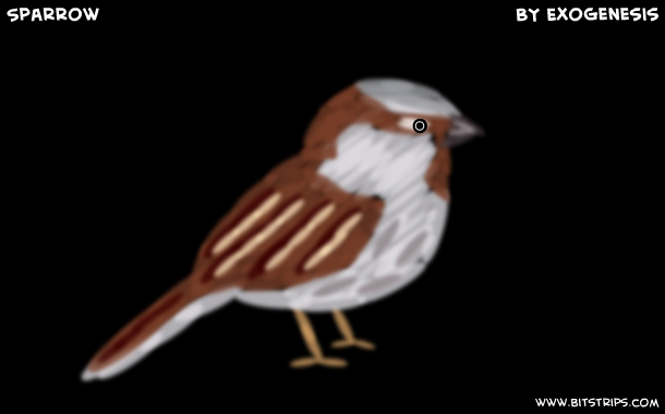 Sparrow