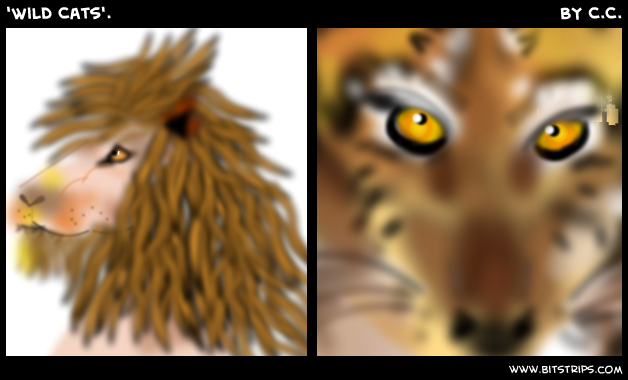 'Wild Cats'.