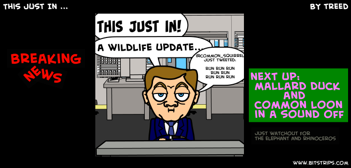 This Just In ...