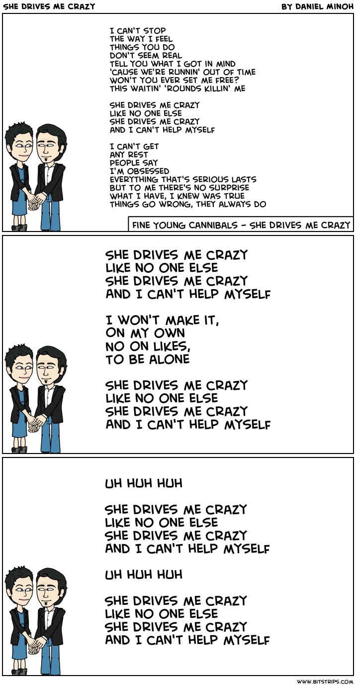 She Drives Me Crazy