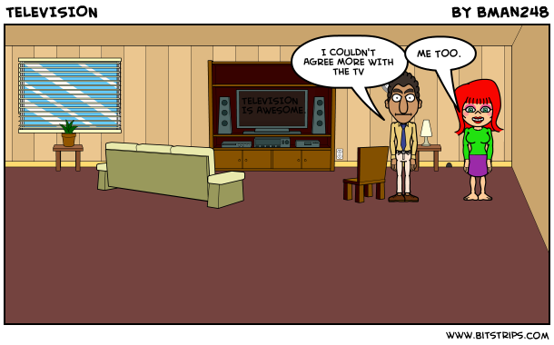 TELEVISION
