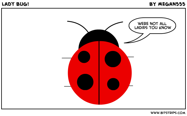 Lady bug!